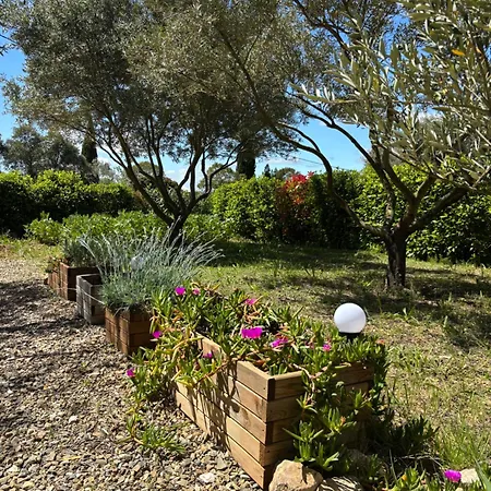 Apartment Romana 34 Puissalicon